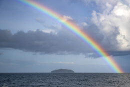 PAPUA-Raja Ampat 2026 (1 group) (38/55)